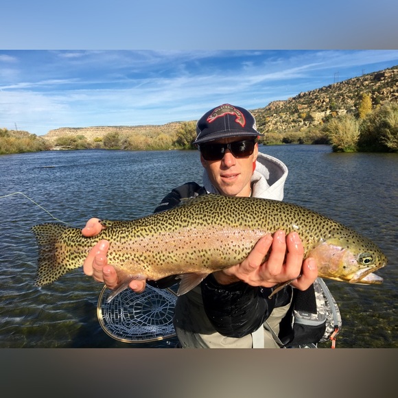 Meet your Posher, Greg - Picture 5 of 5